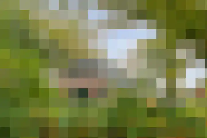 Rekveldweg 6 Dalfsen thumbnail 47