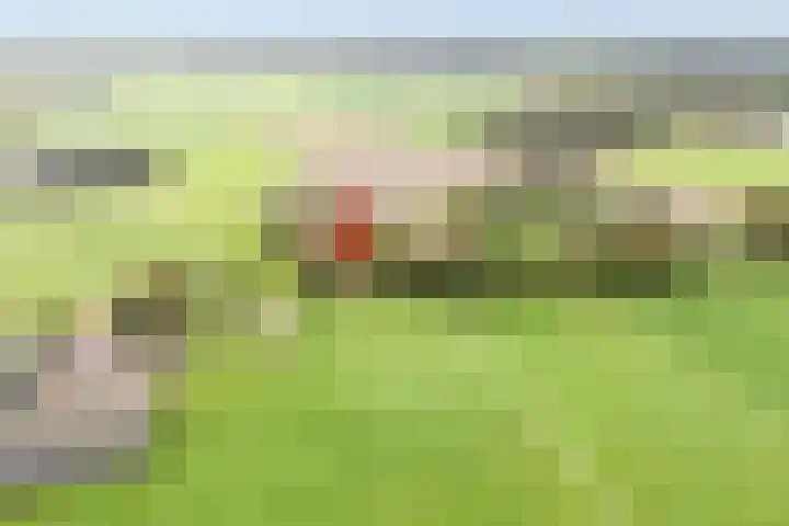 Rekveldweg 6 Dalfsen thumbnail 48