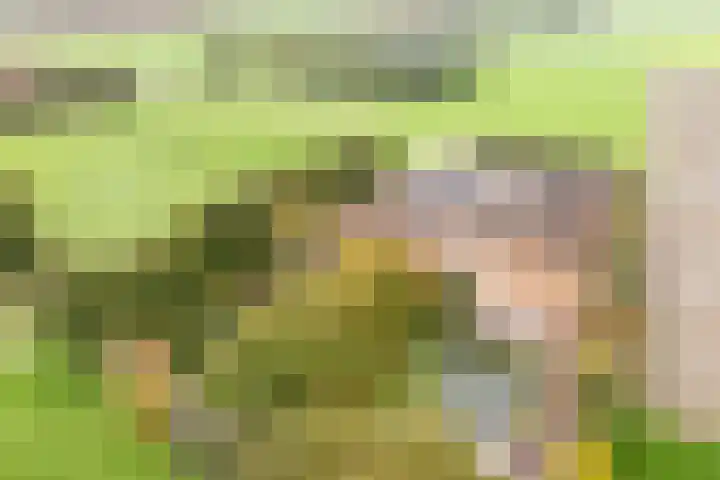 Rekveldweg 6 Dalfsen thumbnail 49