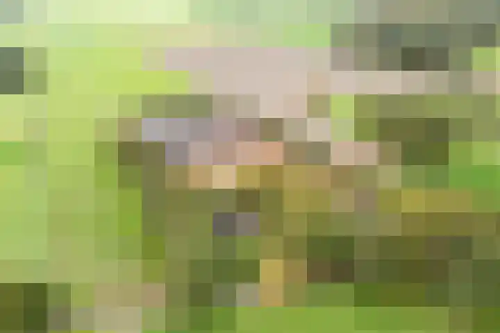 Rekveldweg 6 Dalfsen thumbnail 50