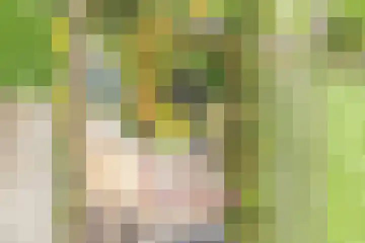 Rekveldweg 6 Dalfsen thumbnail 51