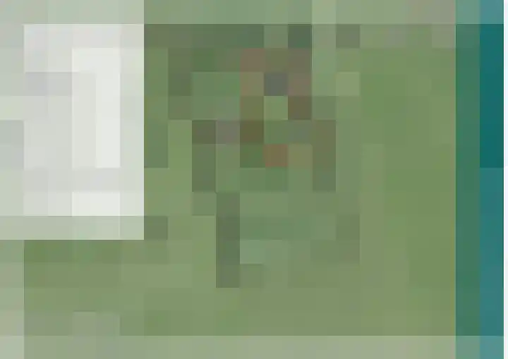 Rekveldweg 6 Dalfsen thumbnail 52
