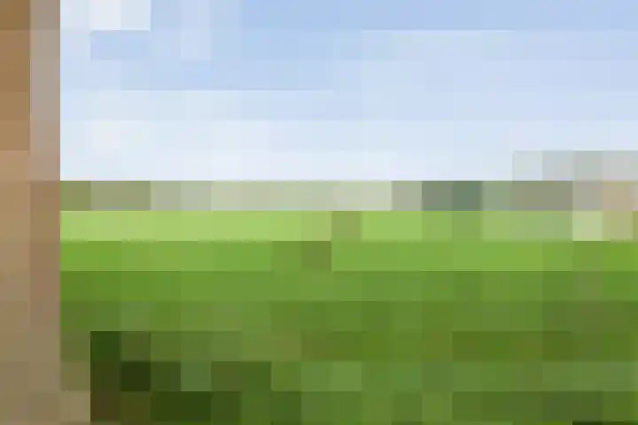Rekveldweg 6 Dalfsen thumbnail 53