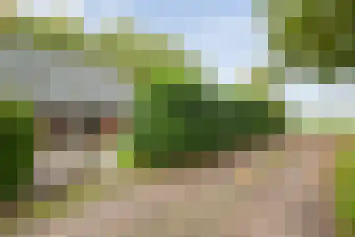 Rekveldweg 6 Dalfsen thumbnail 54
