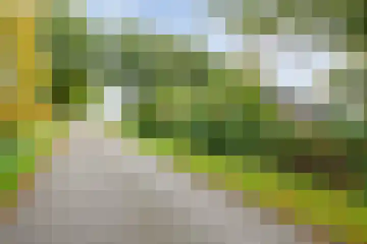 Rekveldweg 6 Dalfsen thumbnail 55