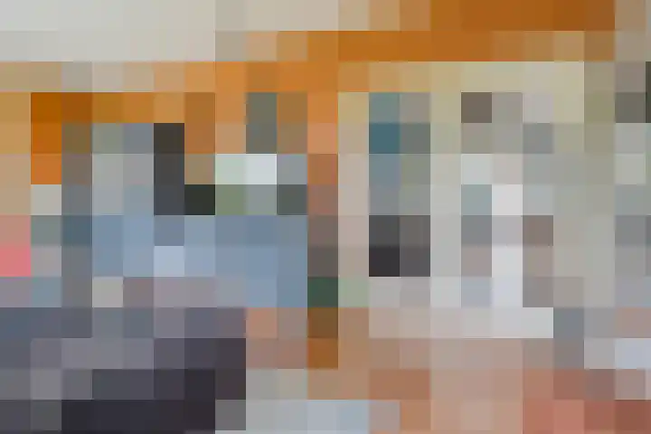 Rekveldweg 6 Dalfsen thumbnail 8
