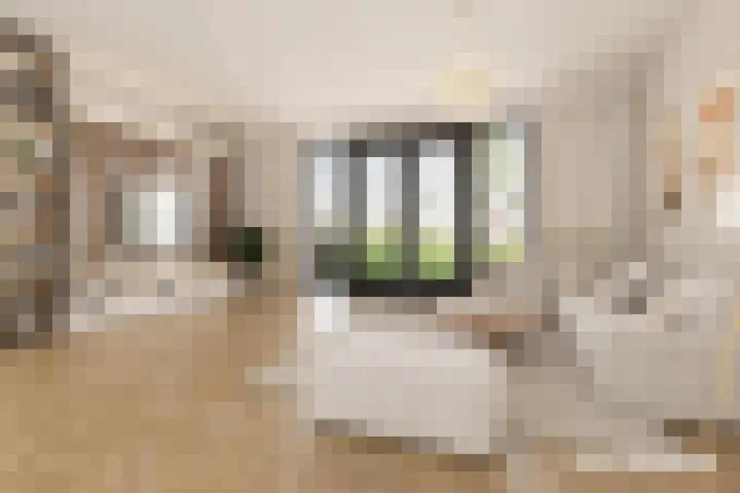 Rekwisieten 19 Amersfoort thumbnail 17