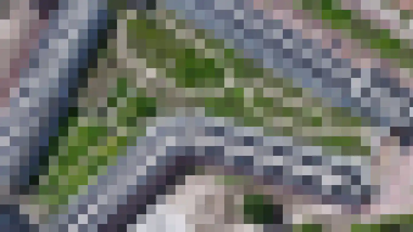 Rekwisieten 19 Amersfoort thumbnail 4