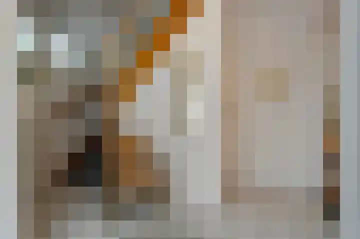 Relindisstraat 11 Sittard thumbnail 8