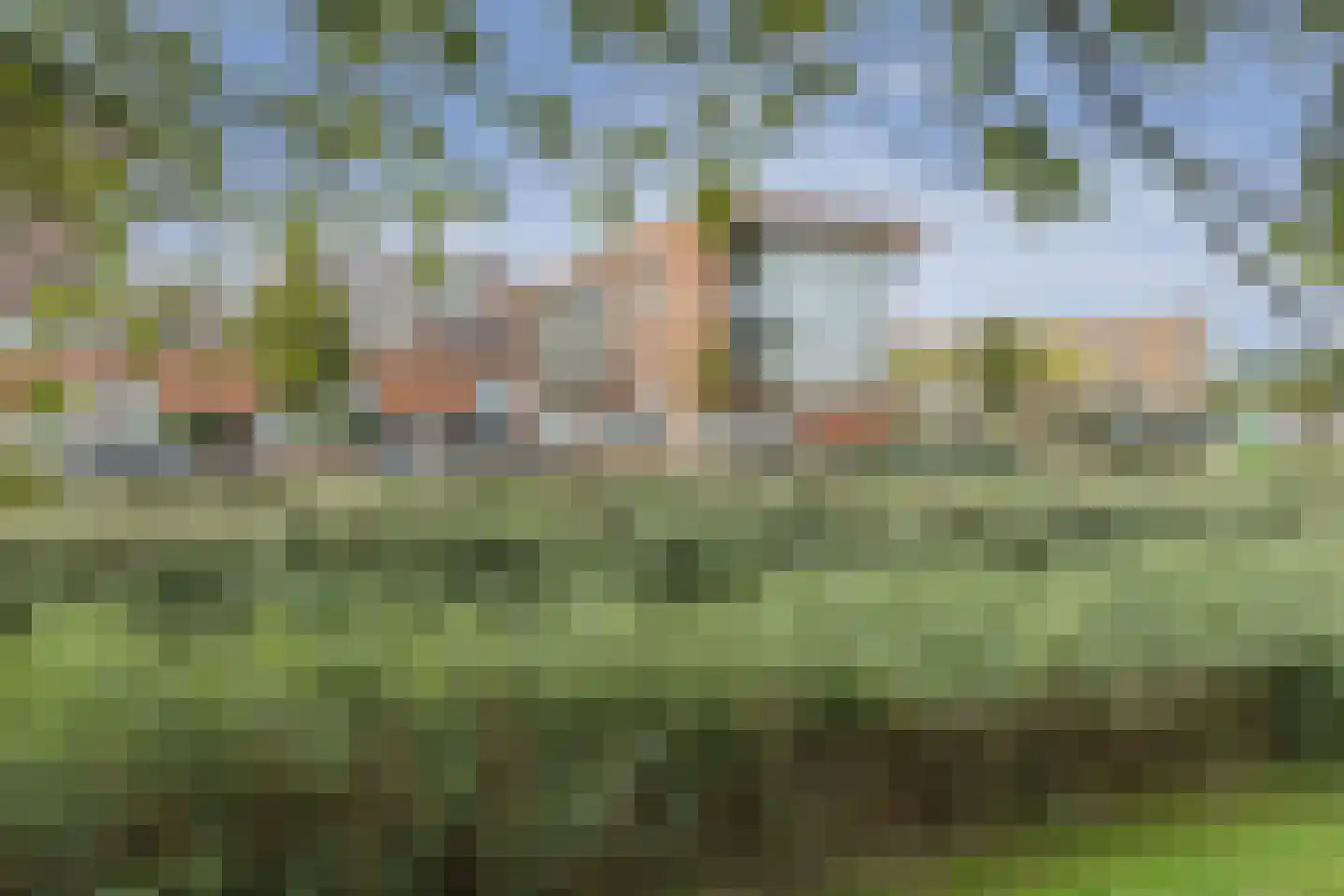 Reling 141 Barendrecht thumbnail 31