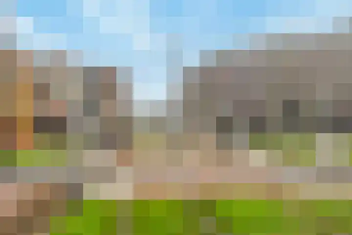 Reling 145 Barendrecht thumbnail 33