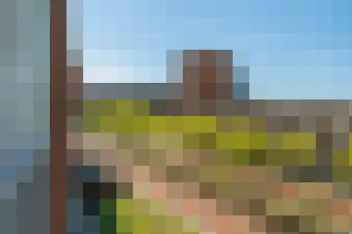 Reling 201 Barendrecht thumbnail 17