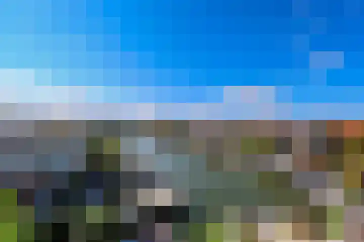 Reling 22 Almere thumbnail 4