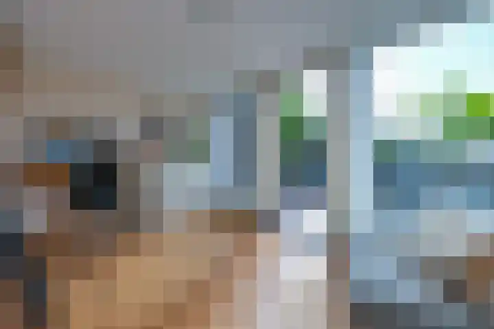 Reling 22 Almere thumbnail 6