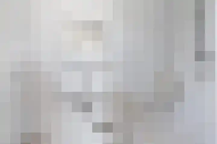 Reling 22 Joure thumbnail 13