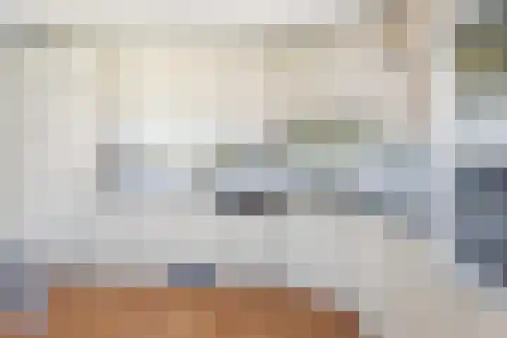 Reling 22 Joure thumbnail 21