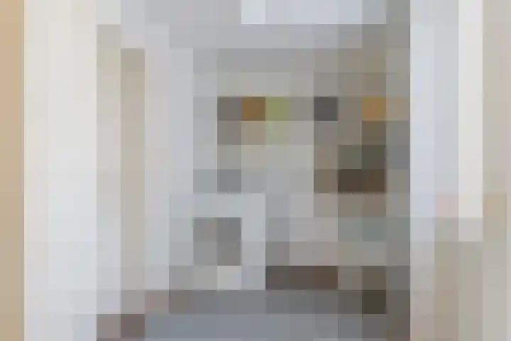 Reling 22 Joure thumbnail 23
