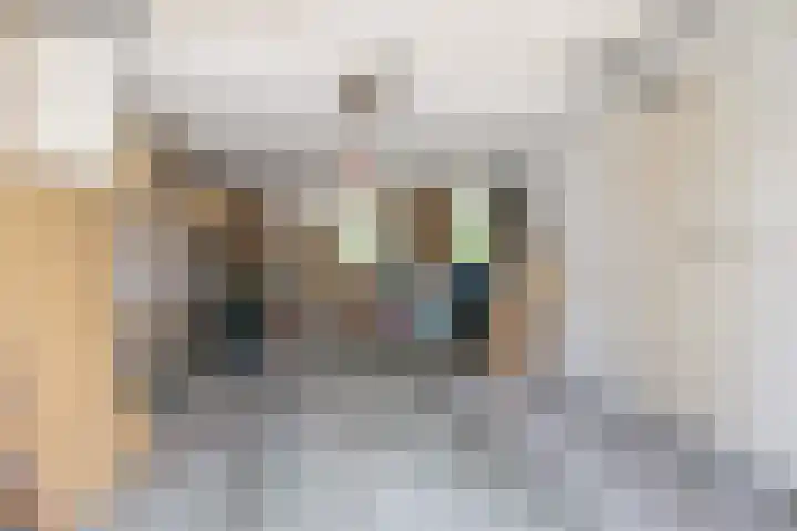 Reling 22 Joure thumbnail 24