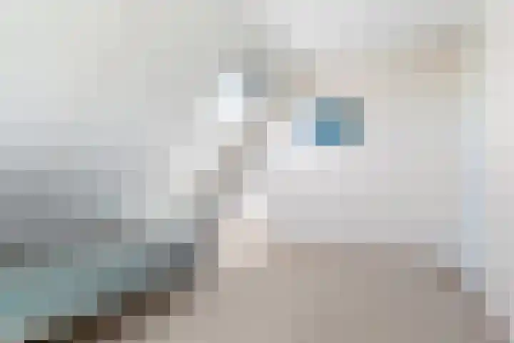 Reling 22 Joure thumbnail 29