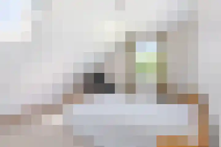 Reling 22 Joure thumbnail 30