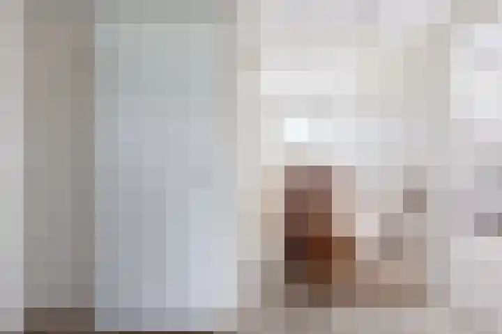 Reling 22 Joure thumbnail 33