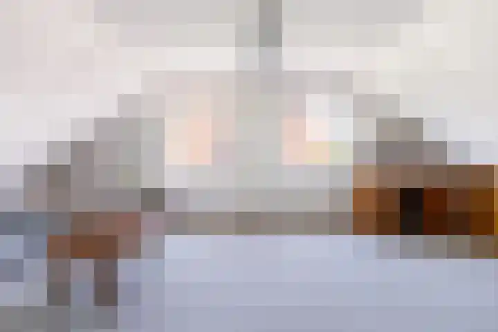 Reling 22 Joure thumbnail 36