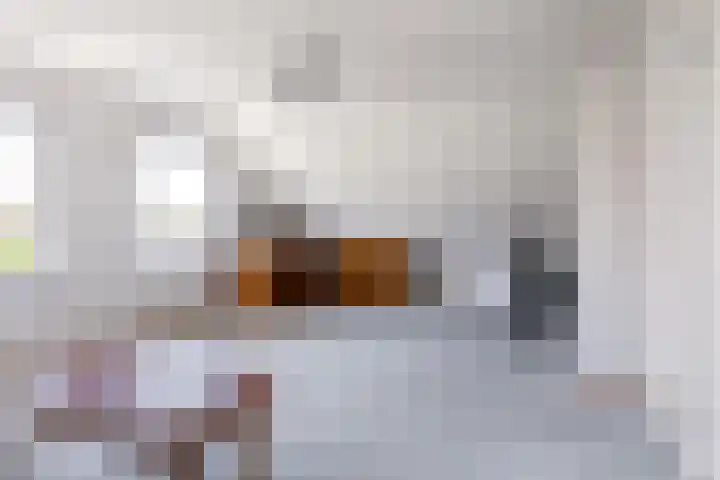 Reling 22 Joure thumbnail 37