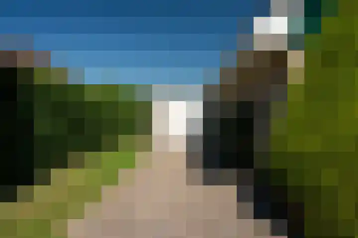 Reling 22 Joure thumbnail 4