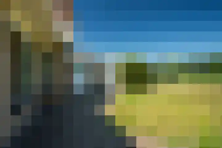 Reling 22 Joure thumbnail 40