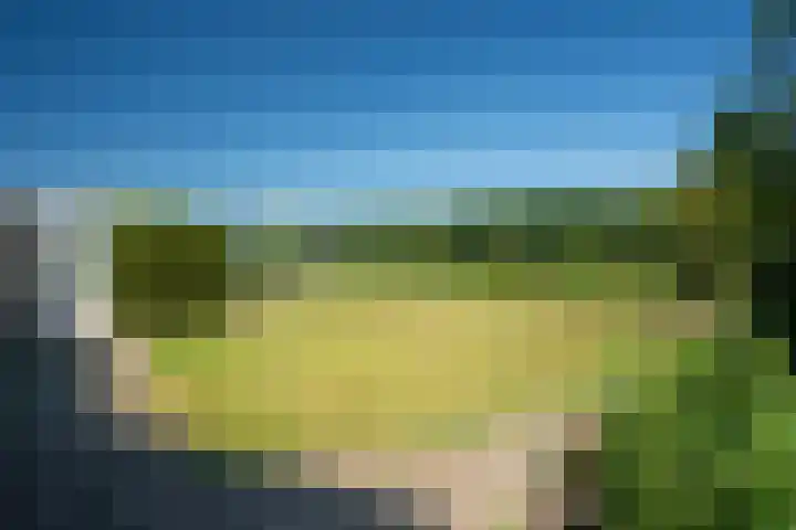 Reling 22 Joure thumbnail 41