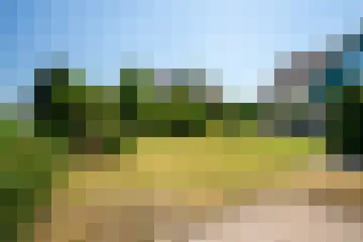Reling 22 Joure thumbnail 42