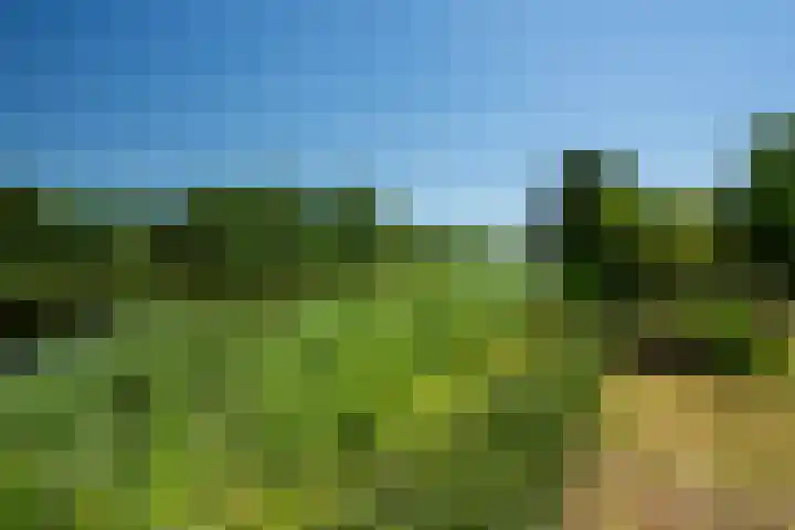 Reling 22 Joure thumbnail 43
