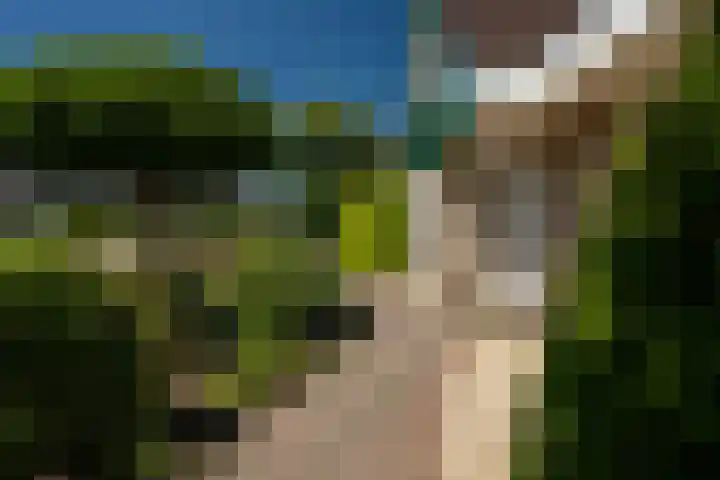 Reling 22 Joure thumbnail 5