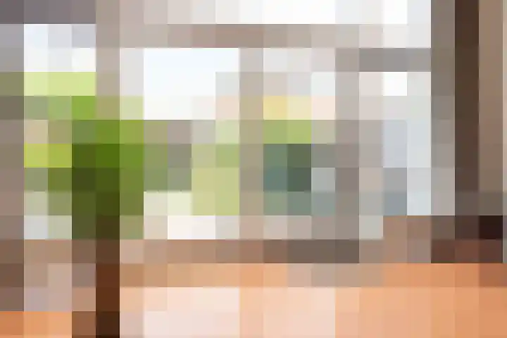 Reling 23 Nijkerk thumbnail 16
