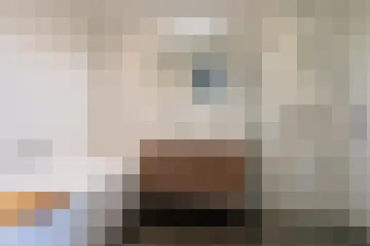 Reling 23 Nijkerk thumbnail 32