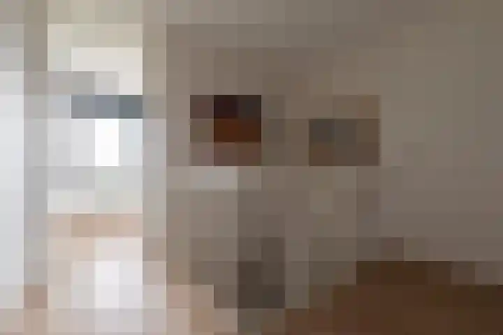 Reling 23 Nijkerk thumbnail 37