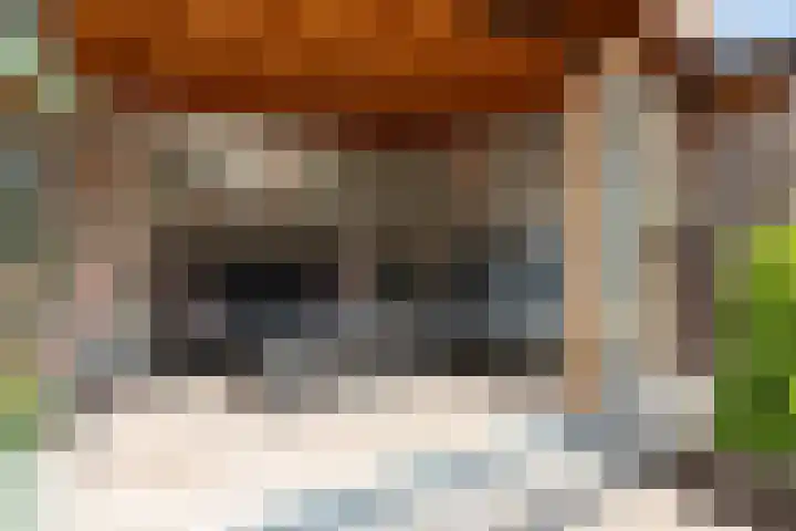 Reling 23 Nijkerk thumbnail 47