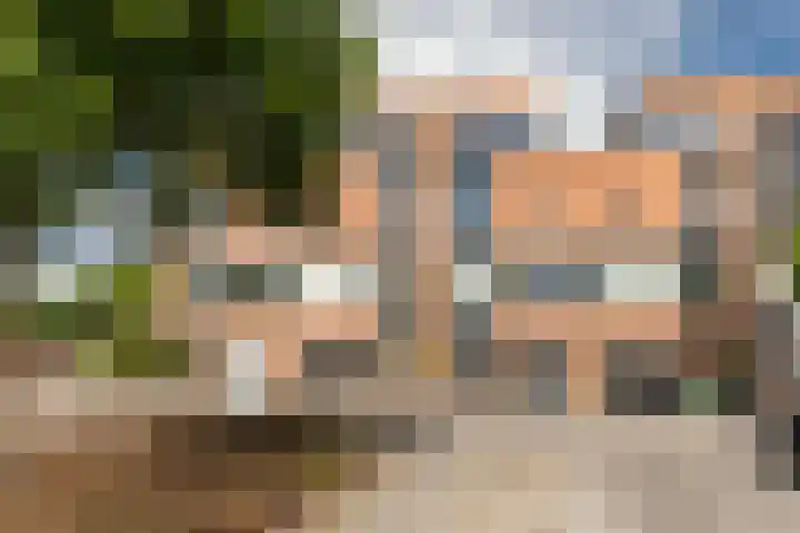 Reling 23 Nijkerk thumbnail 5