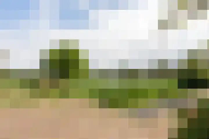 Reling 23 Nijkerk thumbnail 53
