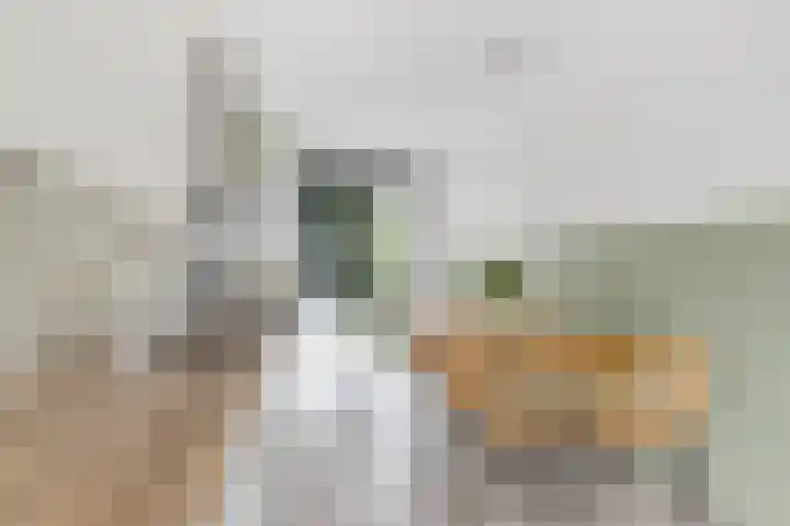 Reling 26 Nijkerk thumbnail 10