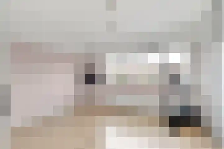 Reling 26 Nijkerk thumbnail 16