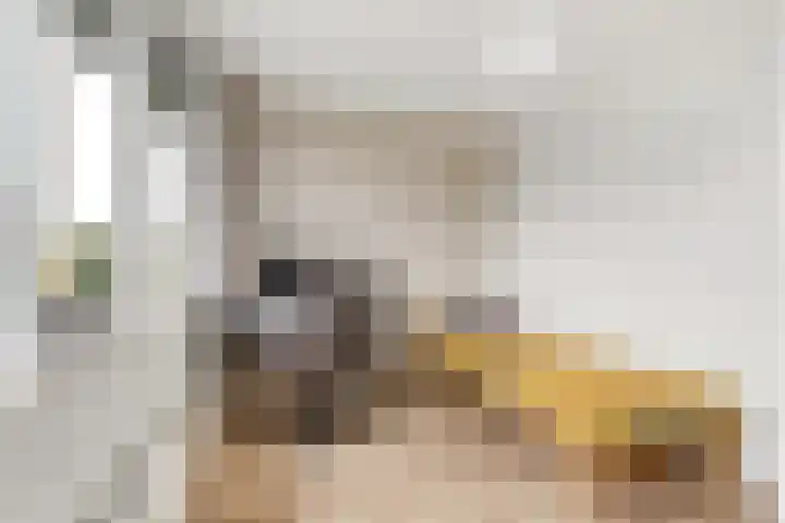 Reling 26 Nijkerk thumbnail 17