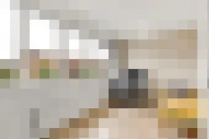 Reling 26 Nijkerk thumbnail 18