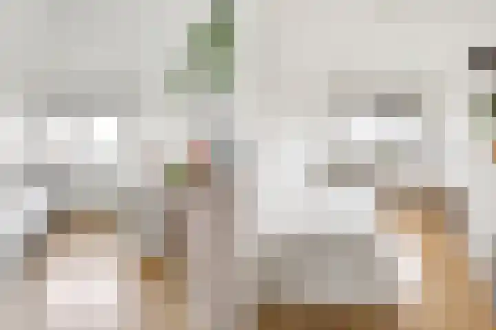 Reling 26 Nijkerk thumbnail 26