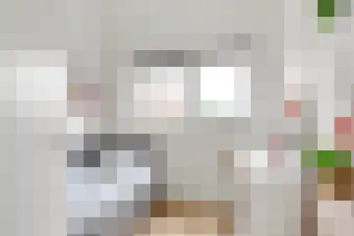 Reling 26 Nijkerk thumbnail 27