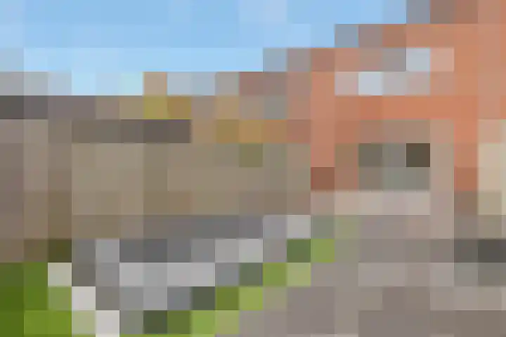 Reling 26 Nijkerk thumbnail 30