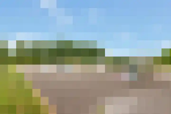 Reling 26 Nijkerk thumbnail 32