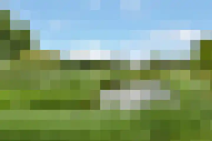 Reling 26 Nijkerk thumbnail 33