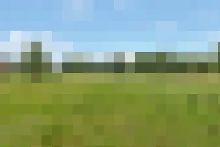 Reling 26 Nijkerk thumbnail 34