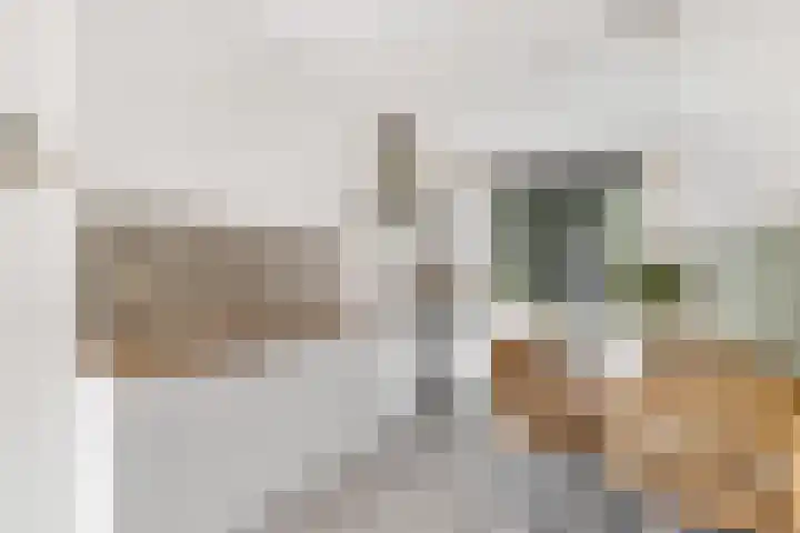 Reling 26 Nijkerk thumbnail 9
